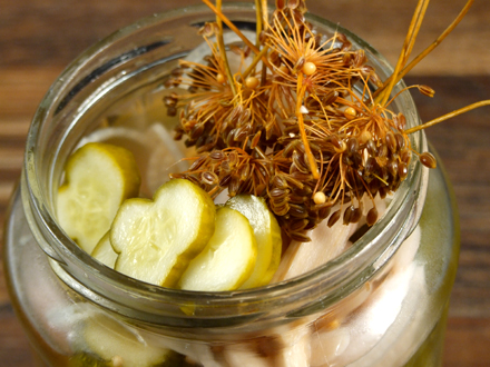 HOMEMADE ROMANIAN BOILED PICKLED CUCUMBERS