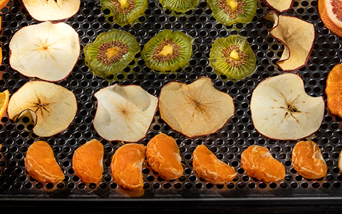 How a Food Dehydrator Can Transform Your Life