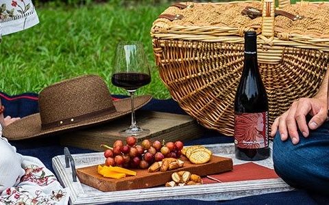 How to Organize a Perfect Picnic Outdoors