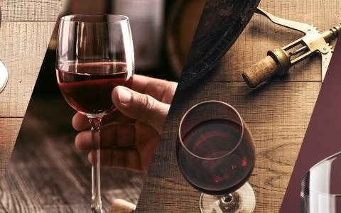What Wine to Pair with Your Favorite Food