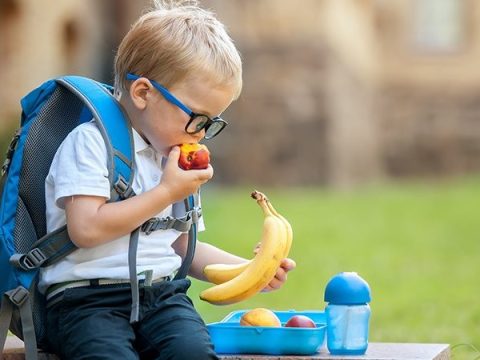 Healthy Meal and Snack Ideas for Kids