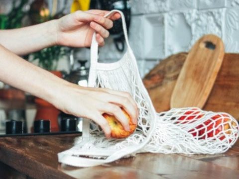 Eco Tips for a Nature-Friendly Household