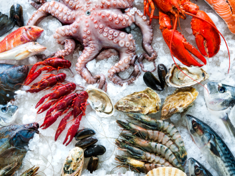 How to Choose and Cook Fish & Seafood