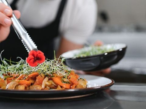 The Art of Plating: Tips and Tricks for Creating Stunning Plates