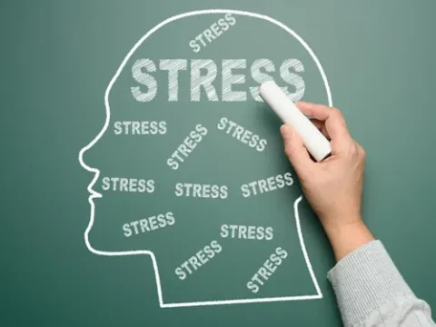 The Ultimate Guide to Stress Management Techniques