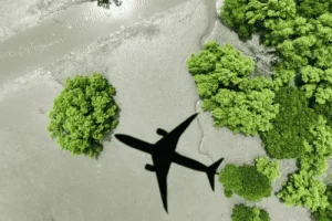 Top Eco-Friendly Travel Destinations in 2025