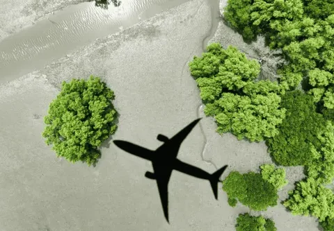 Top Eco-Friendly Travel Destinations in 2025